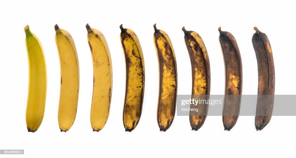 aging process of banana on white background - platano fotografías e imágenes de stock