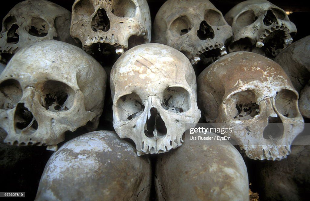 stack of human skulls - calavera fotografÃ­as e imÃ¡genes de stock