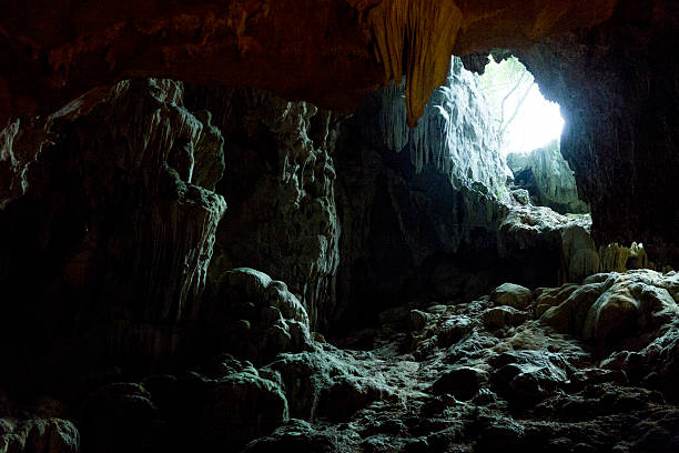 light entering dark cave - cueva fotografías e imágenes de stock
