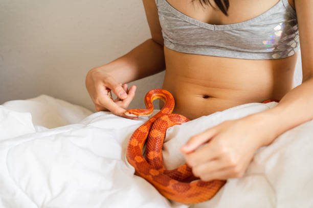 young woman in bed with a snake - serpiente en la cama fotografías e imágenes de stock