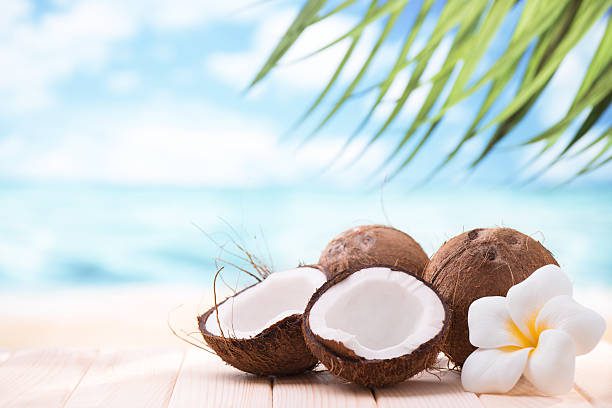coconuts on the beach con espacio de copia - coco fotografías e imágenes de stock